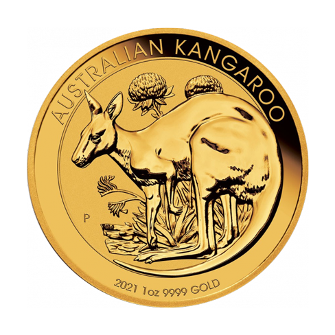 kangaroo_goud2021_voor.png