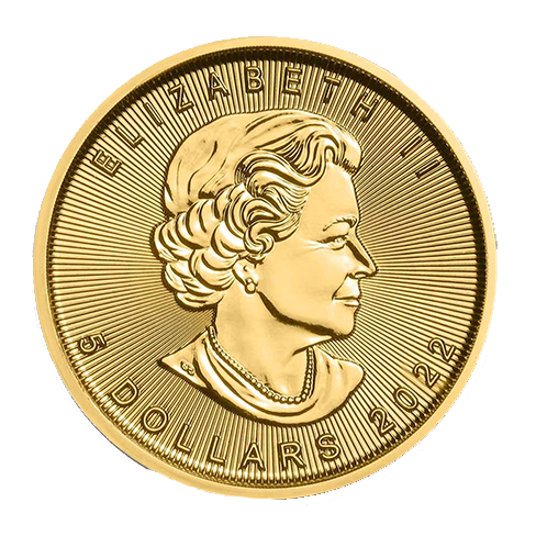 Gouden Maple Leaf munt 1/10 troy ounce 