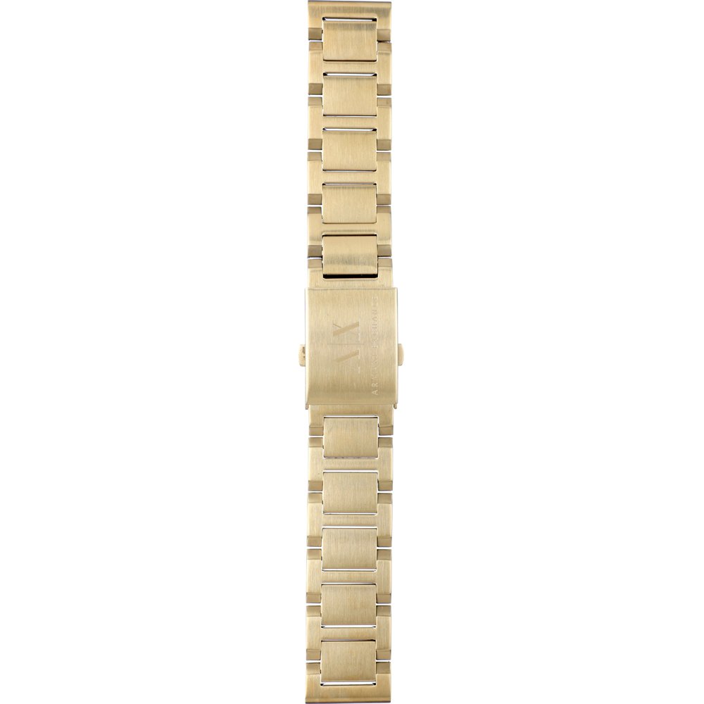 Armani Exchange AAX1363 band