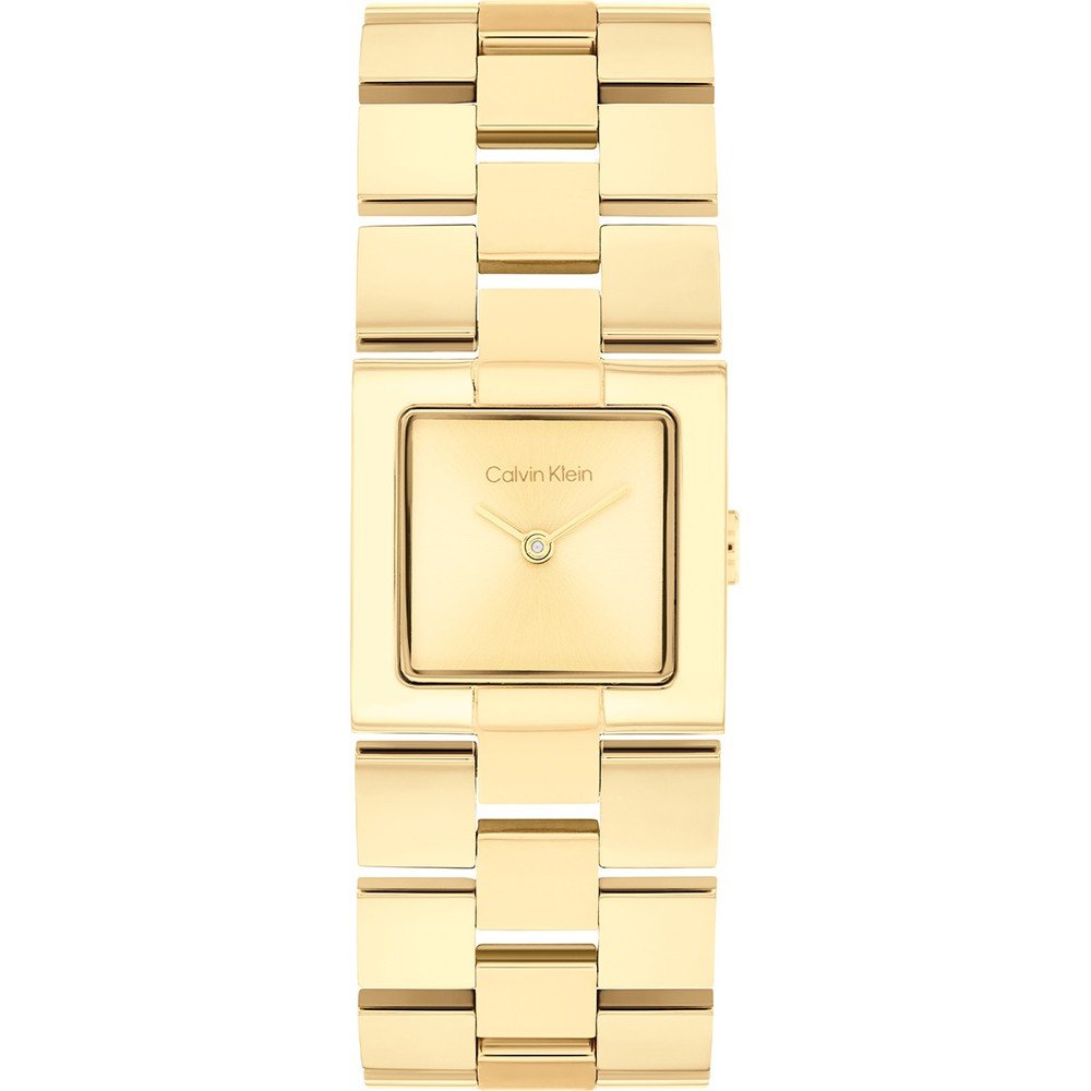 Calvin Klein 25100089 Meridian Horloge