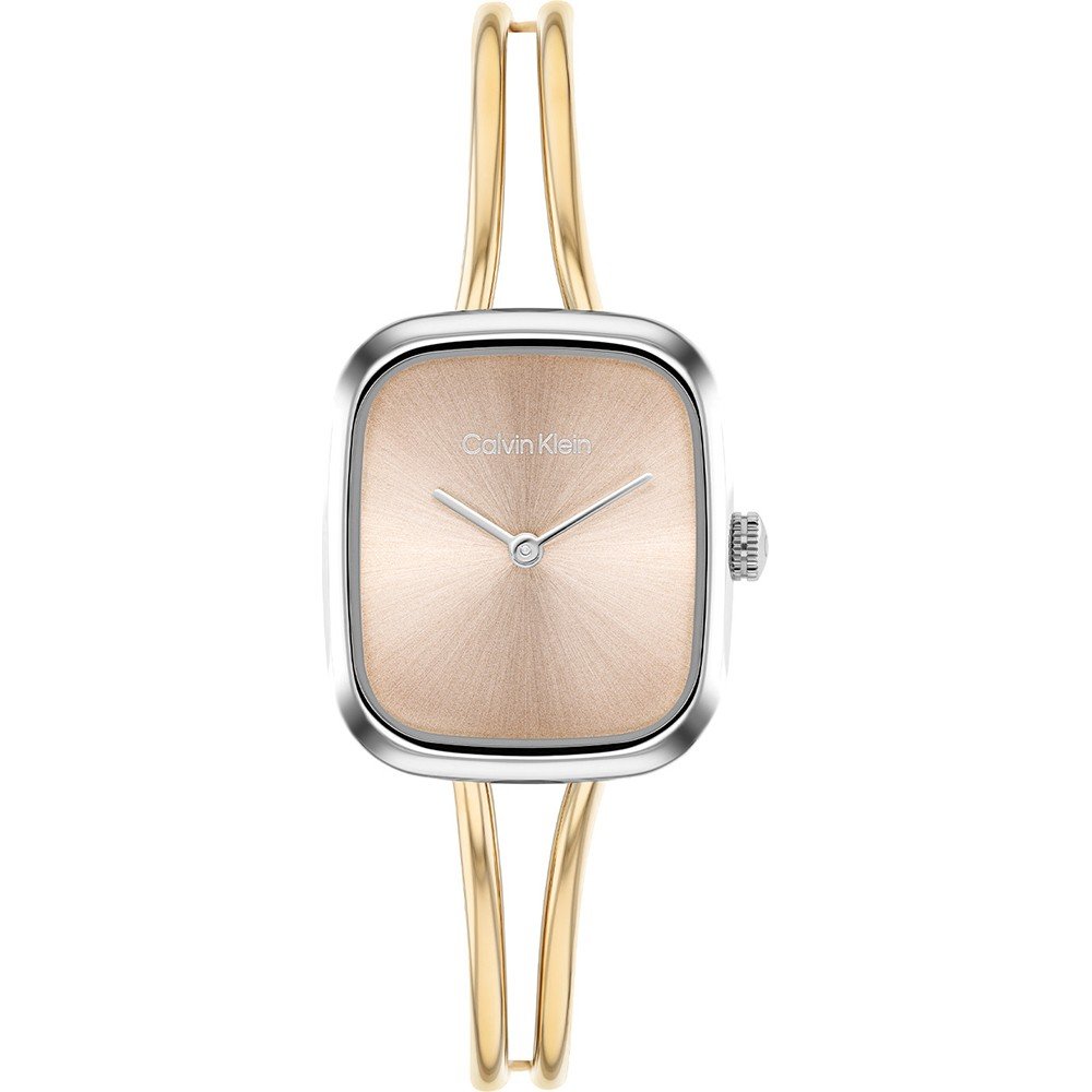 Calvin Klein 25100134 CK25100134 Horloge