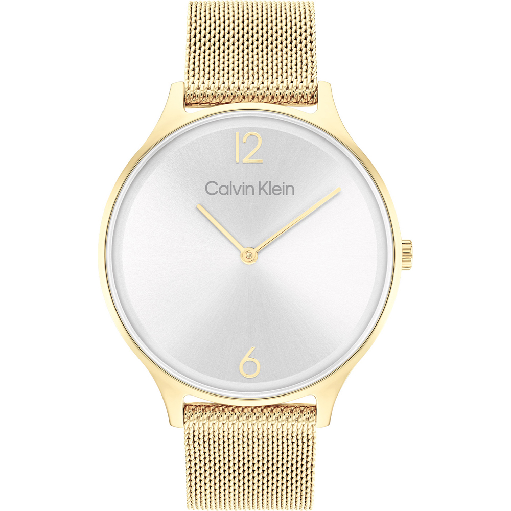 Calvin Klein 25200003 Timeless Mesh Horloge