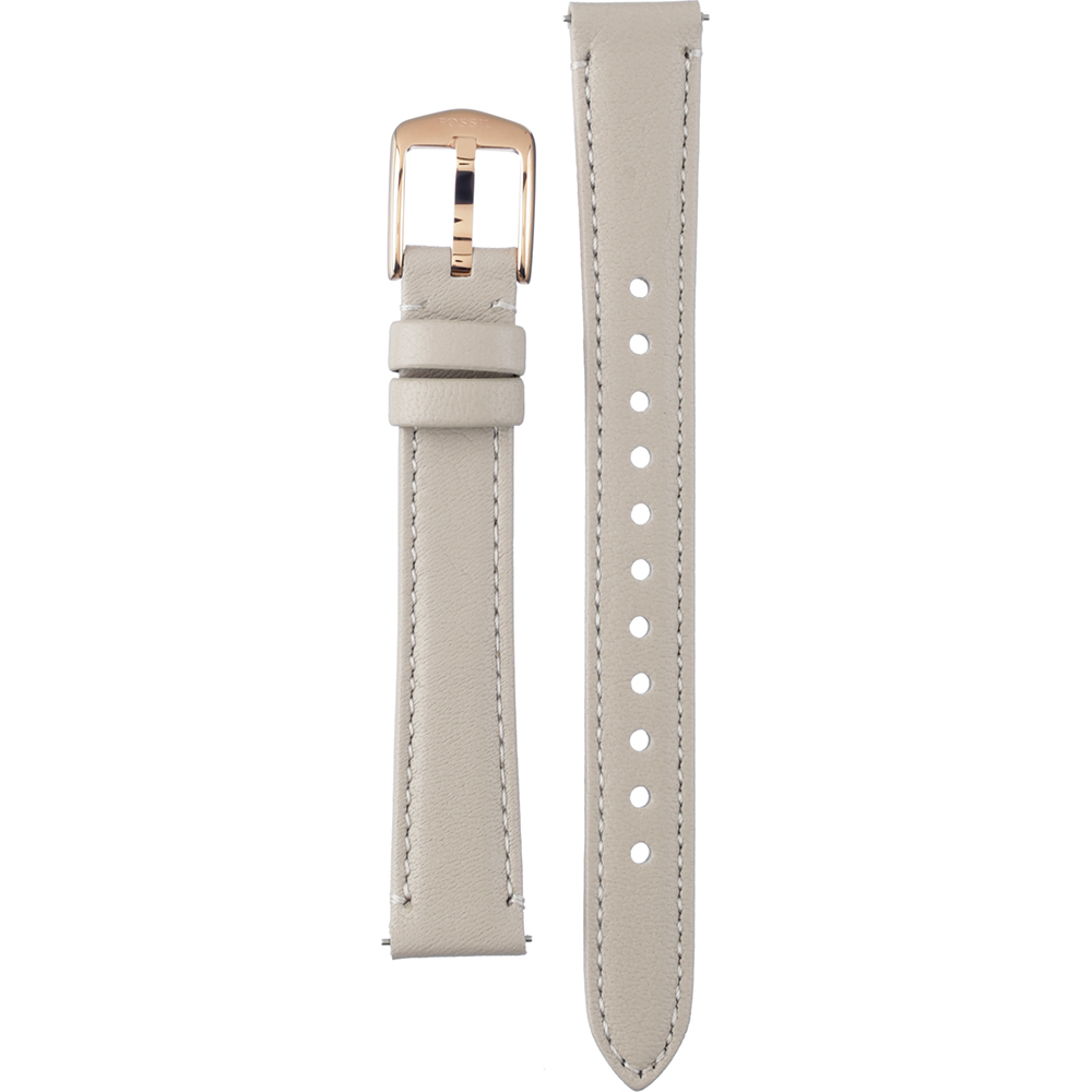 Fossil Straps AES5091 ES5091 Pro-Planet Jacqueline Horlogeband