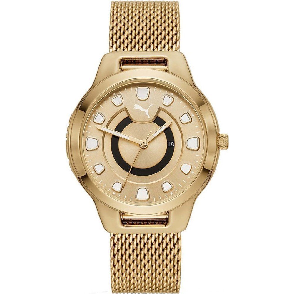 Puma P1008 Reset Horloge