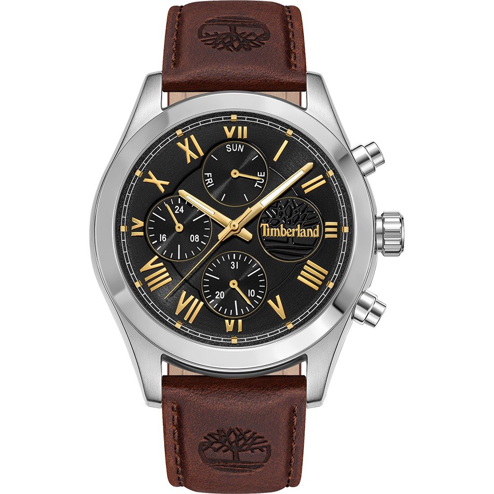 Timberland TDWGF0082601 Ashmont Horloge