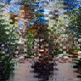 Riad Ifoulki