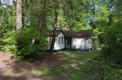 Foto EuroParcs De Wiltzangh **** Ruinen