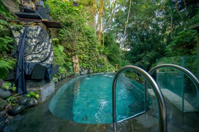 Foto Seres Springs Resort en Spa **** Ubud