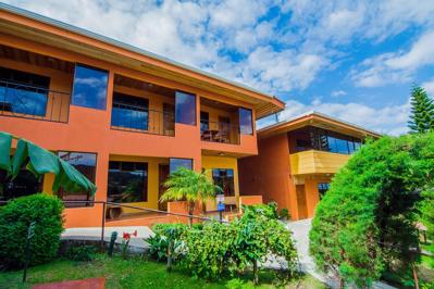 Foto Cipreses Monteverde *** Monteverde