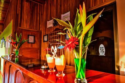 Foto Cipreses Monteverde *** Monteverde