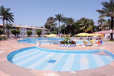 Palma Rima