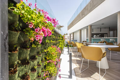 Foto Taimar **** Costa Calma