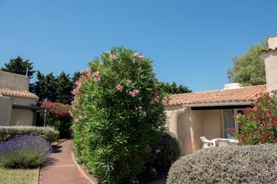 Foto Vakantiepark Les Lauriers Roses ** Cap D Agde