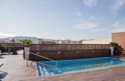 Foto Lleo *** Barcelona