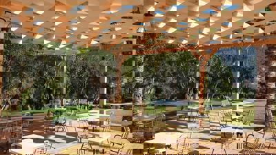 Foto Yannis *** Ipsos