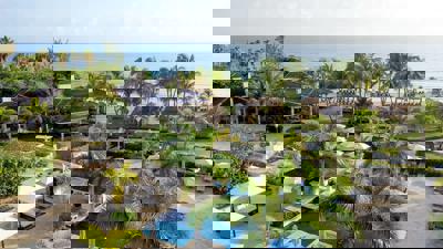 Hotel Hyatt Ziva Rose Hall