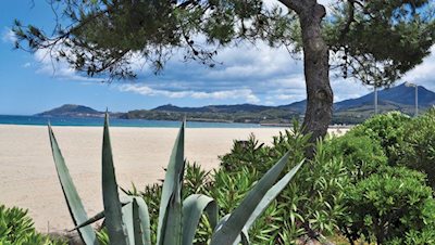 Foto Bois du Valmarie ***** Argeles Sur Mer