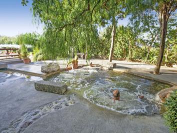 Foto La Pergola Terme en Villa Flavio *** Casamicciola Terme