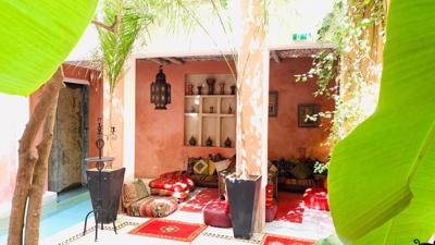 Riad Moullaoud