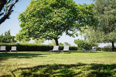 Foto Wende **** Neusiedl Am See