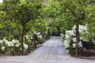 Foto Villa Oriana Relais *** Sorrento