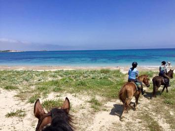Foto Horse Country Resort Congress en Spa **** Arborea