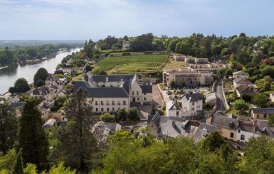 Foto Residence Odalys Le Clos Saint Michel *** Chinon