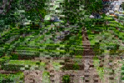 Foto WOT Sintra Sarrazola *** Colares