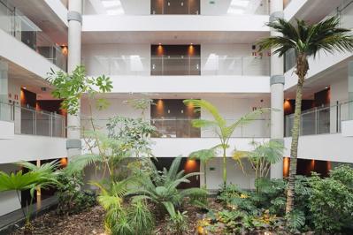 Foto Holiday Inn Elche **** Elche