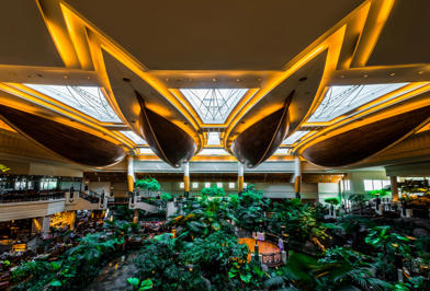 Foto Grand Hyatt Dubai ***** Dubai