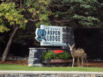 Foto Banff Aspen Lodge *** Banff