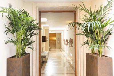 Foto Palm Suites **** Rome