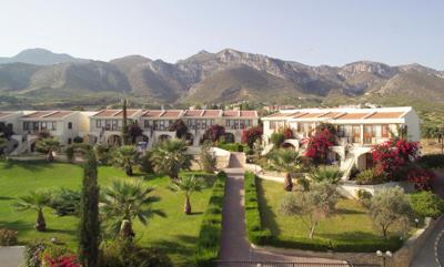 Foto The Olive Tree **** Catalkoy