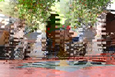 Foto Riad Sidi Ayoub Marrakech