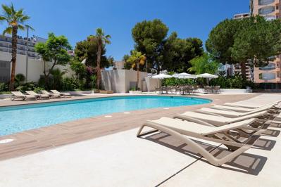 Foto Halley ** Benidorm