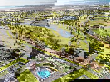 Foto Flamingos Salgados *** Guia