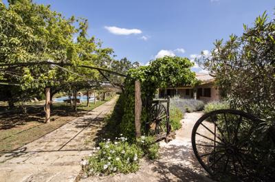 Foto Aumallia Hotel en Spa **** Felanitx