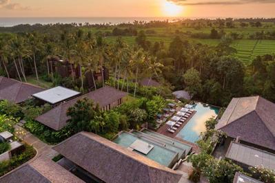 Foto Nirjhara ***** Belalang