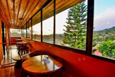 Foto Cipreses Monteverde *** Monteverde