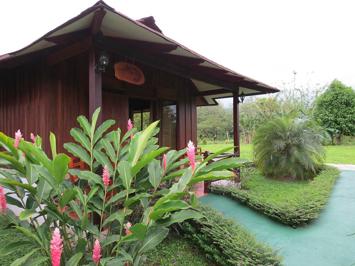 Foto Arenal Montechiari *** La Fortuna