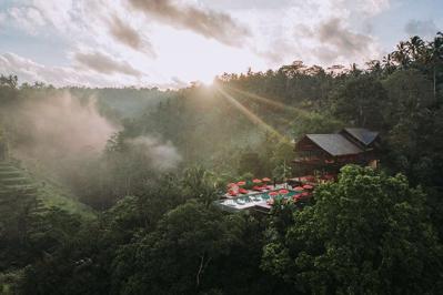 Foto Buahan A Banyan Tree Escape ***** Payangan