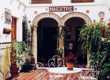 Aparthotel Maestre