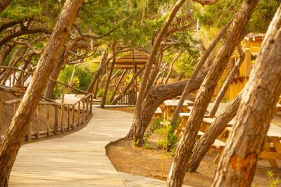 Foto CSA Holiday House Hotel *** Marina Di Bibbona