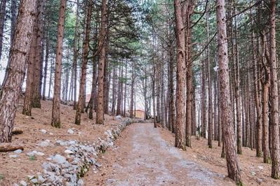 Foto Natyral Razma Resort **** Shkoder