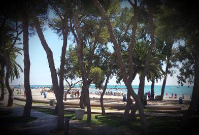 Foto Tramontana ** Benicasim