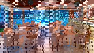 Foto Yannis *** Ipsos