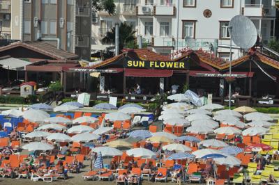 Foto Sunflower ** Side
