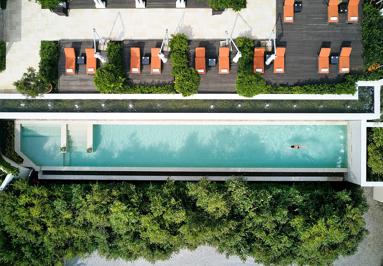 Foto Four Seasons The Westcliff ***** Johannesburg