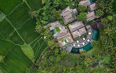 Foto The Ubud Village Resort at Nyuh Kuning ***** Ubud