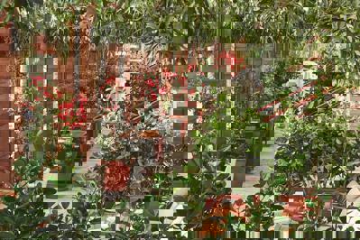 Foto Miami Beach Edition ***** Miami Beach